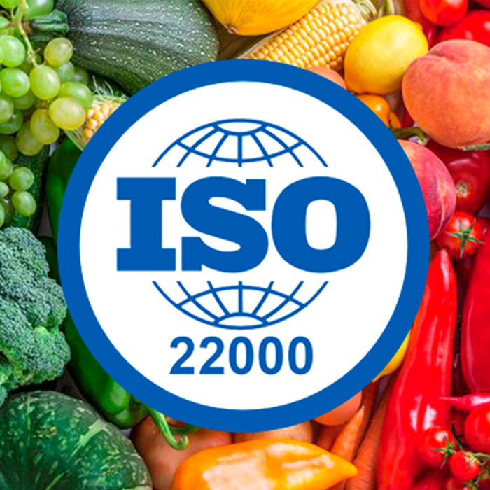 Best ISO Certification Company in India – Ideal Certification